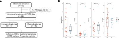 Genomic characterization of intracranial teratomas using whole genome sequencing